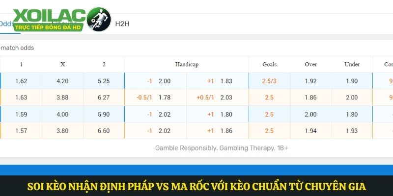 Soi kèo nhận định Pháp vs Ma rốc với kèo chuẩn từ chuyên gia